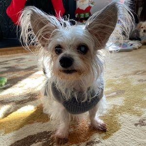 Meet your Posher, Kt